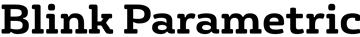 Blink Transparent Large